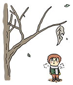 枯葉を見上げる少年のイラスト
